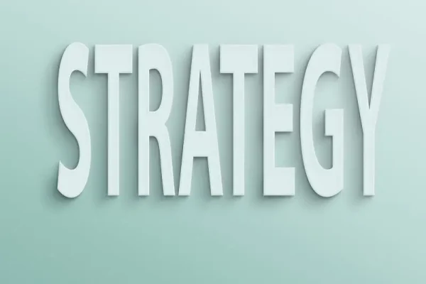 strategic advice (2)